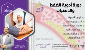 الدورة السادسة